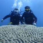 Fundives-nightdives-colombia-Poseidon Dive Center PADI