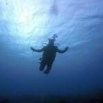 fundives-inmersiones-nocturno Poseidon Dive Center PADI