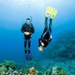 fundives-inmersiones-nocturno-7 Poseidon Dive Center PADI