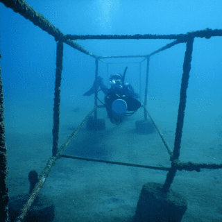 Poseidon Dive Center PADI