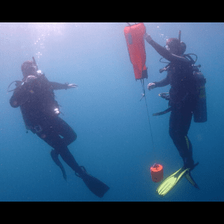 padi search & recovery Poseidon Dive Center PADI
