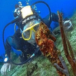 padi digital underwater photography specialty Poseidon Dive Center PADI
