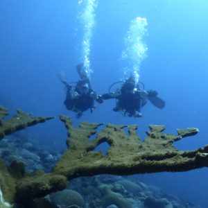 padi aware coral reef conservation specialty Poseidon Dive Center PADI
