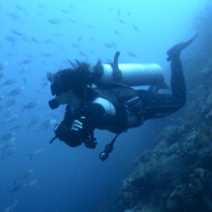 padi drift diver specialty Poseidon Dive Center PADI