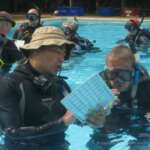 Discover Snorkel Poseidon Dive Center PADI