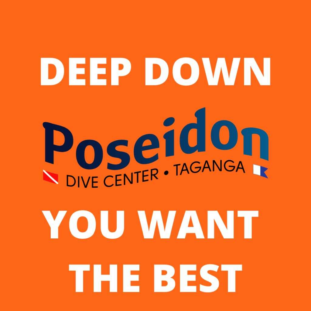 Deep-eng-about-us-sobre-nosotros-ueber-uns-centro-de-buceo-padi-poseidon-dive-center -Scuba-diving-taganga-dive-best-places-to-dive-in-colombia