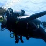 padi open water diver poseidon dive center padi