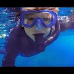 padi seal team poseidon dive center padi