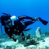 de-referral-poseidon-dive-center-padi