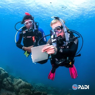 DM-Professional-PADI-IDC-PADI-Cursos-profesionales-Professioneler-PADI-IDC-poseidon-dive-center