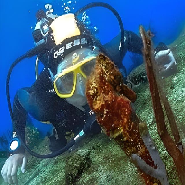 diving-tayrona-park-bucear-parque-tayrona-fun-dive