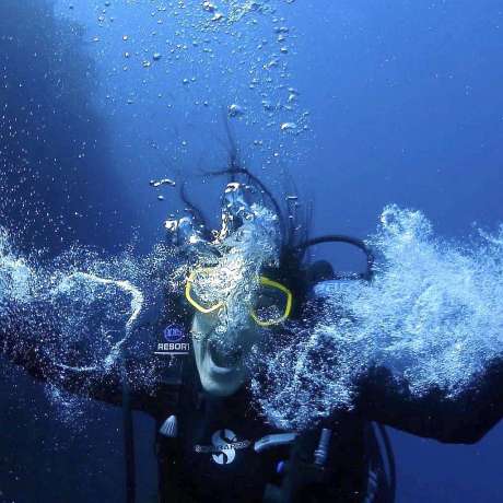 Diving tayrona park Colombia with Poseidon Dive Center PADI all you can dive Poseidon Dive Center PADI Diving tayrona park Colombia with Poseidon Dive Center PADI all you can dive Poseidon Dive Center PADI