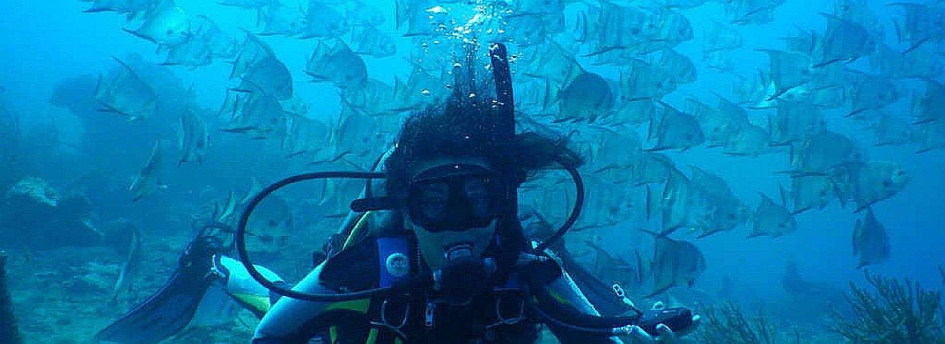 Diving tayrona park Colombia with Poseidon Dive Center PADI